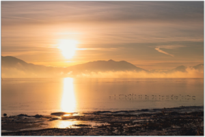Migrating birds fly over Utah Lake in the morning mist. Photo by Jeff Beck.